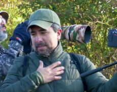 Turismo de avistamiento de aves en Anglesey: una experiencia única en la Reserva Natural de Gales