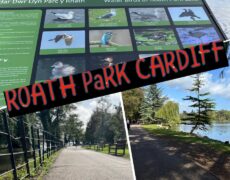 Descubre la belleza del Parque Roath en Cardiff: una experiencia imprescindible para tu viaje de turismo