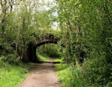 Descubre el encanto de Cardiff recorriendo el Taff Trail: Un imperdible viaje de turismo en Gales