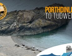 Descubre la belleza del senderismo en la Península de Llŷn: Un viaje imperdible para los amantes del turismo en Gales