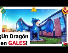 Descubre las maravillas de Newport Gales: guía de turismo para tu próximo viaje