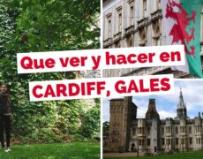 Descubre el turismo cultural en Cardiff: Visita el Museo Nacional de las Obras de Arte de Gales