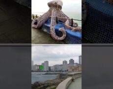 Descubre el encanto de Bangor: turismo y paseo marítimo en una sola ciudad