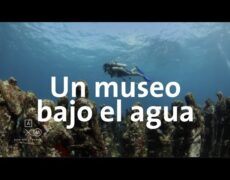 Descubre el turismo marino en Swansea: Visita el Museo de Agua y Vida Marina