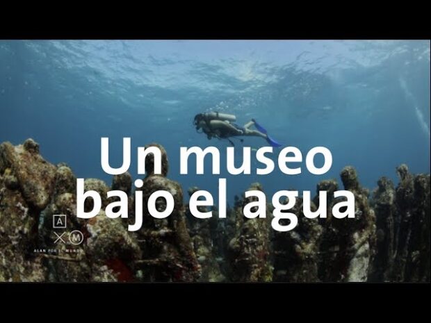 Descubre el turismo marino en Swansea: Visita el Museo de Agua y Vida Marina